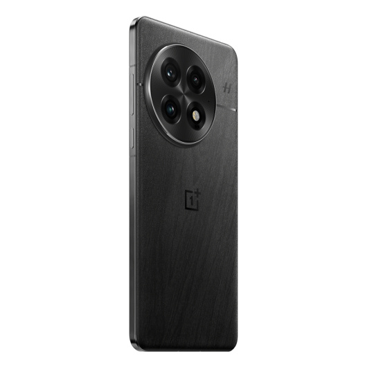 OnePlus 13 12/256Gb Dual nanoSim Черный (CN)