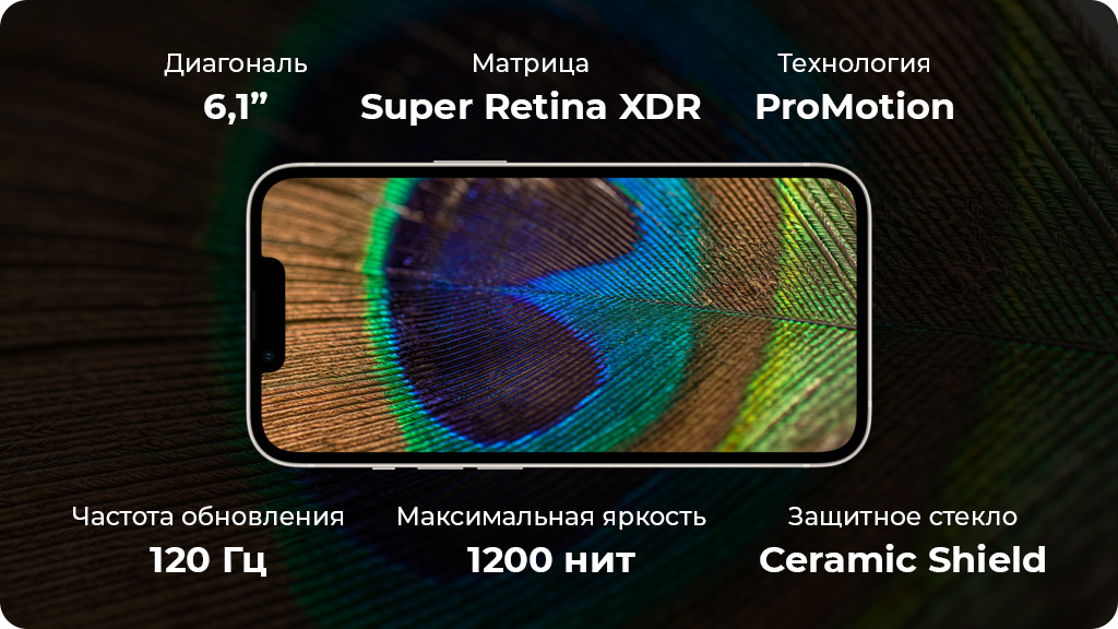 Apple iPhone 13 Pro 256Gb Графитовый (JP)